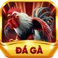 đá gà vn88