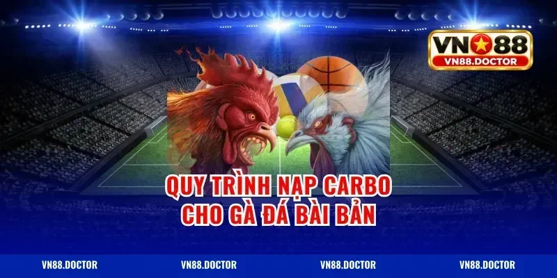 Quy trình nạp carbo cho gà đá bài bản