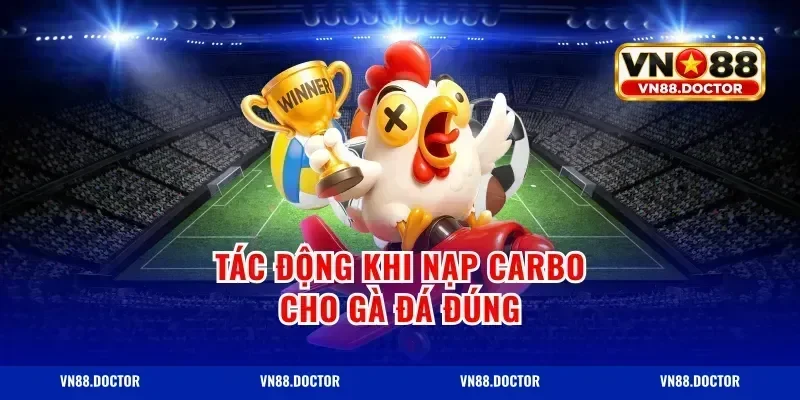 Tác động khi nạp carbo cho gà đá đúng